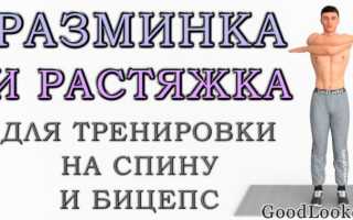 Как делать разминку для спины в спортзале и на рабочем месте