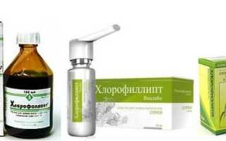 Как сделать раствор хлорофиллипта для полоскания горла