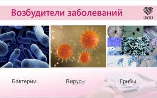 Дезинфектор. Какой выбрать. Правила обработки инструментов для маникюра и педикюра