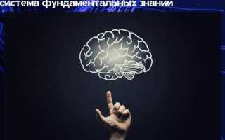 Основные отрасли психологии: полноценная система фундаментальных знаний