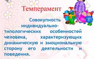 Типы темперамента: преимущества и недостатки каждого из 4 видов