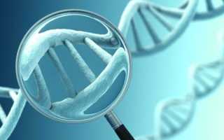 Болезнь Нимана-Пика Выполнила: студентка 5 курса 5 группы, 4 мед. Ф-та Новосельцева О.М. — презентация