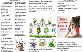 Народное лечение мигрени — травяные сборы, профилактика, диета при мигрени