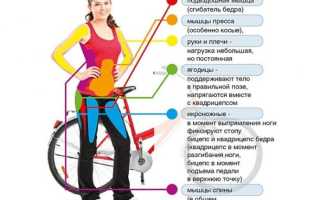 Упражнение велосипед лежа на спине: польза, как делать, отзывы