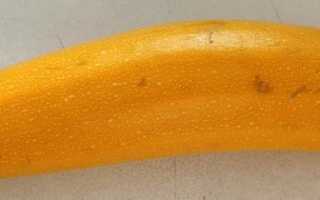 Кабачки при похудении. Правда ли они такие диетические?