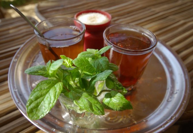 Бедуинский чай