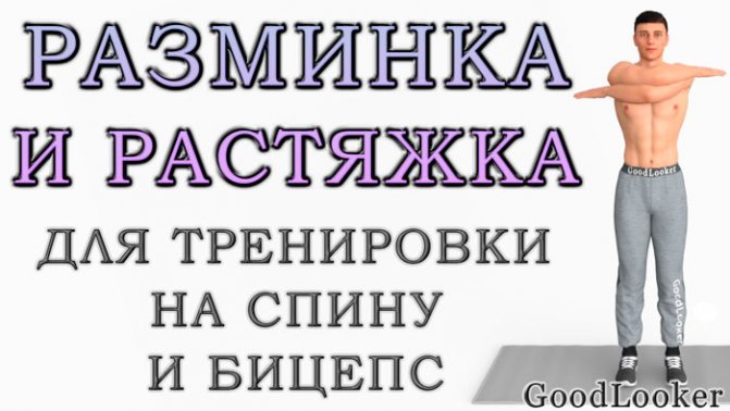 Готовые разминка и заминка (растяжка) для тренировки на спину и бицепс