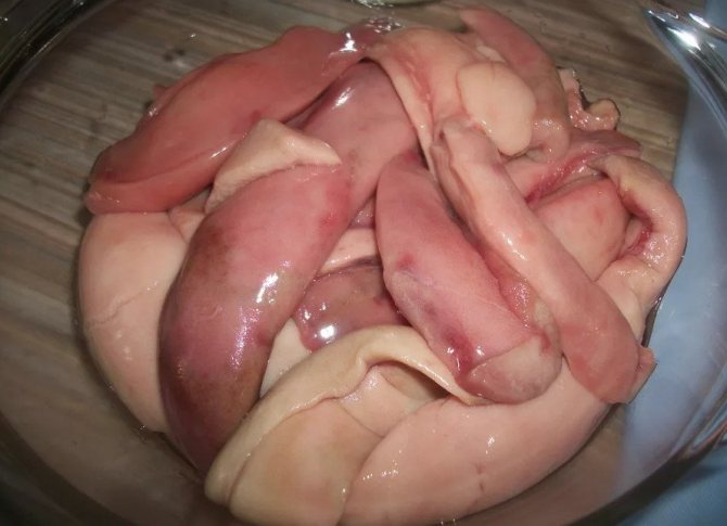 Молоки горбуши