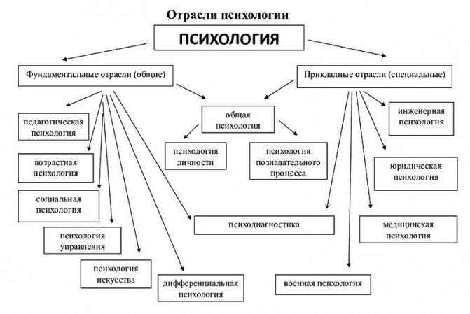 схема отраслей психологии