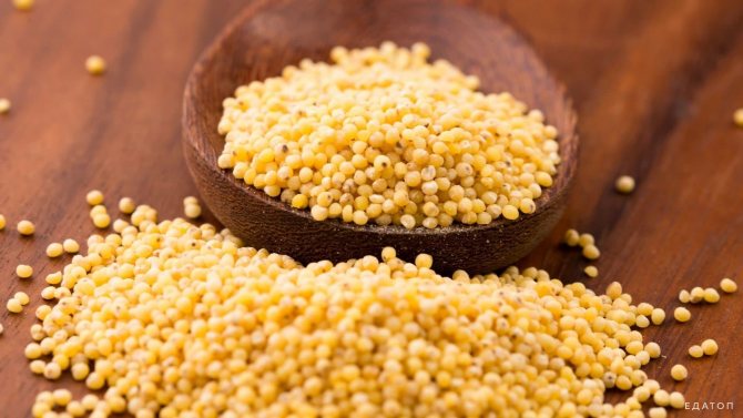 Завтрак лучше начинать с каши из пшенной крупы.