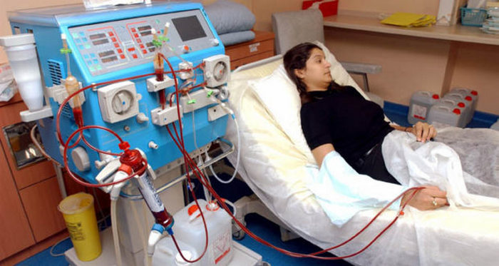 Почка человека при хпн