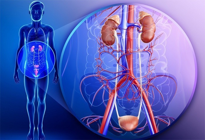Урология боли в головке при мочеиспускании