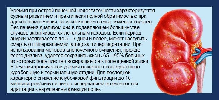 Одним из осложнений является уремия, при которой происходит интоксикация продуктами распада различных веществ внутри организма терминальная стадия поражения почек