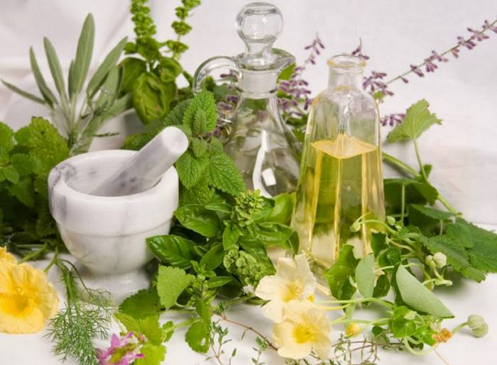 Травы для мочеполовой системы женщины