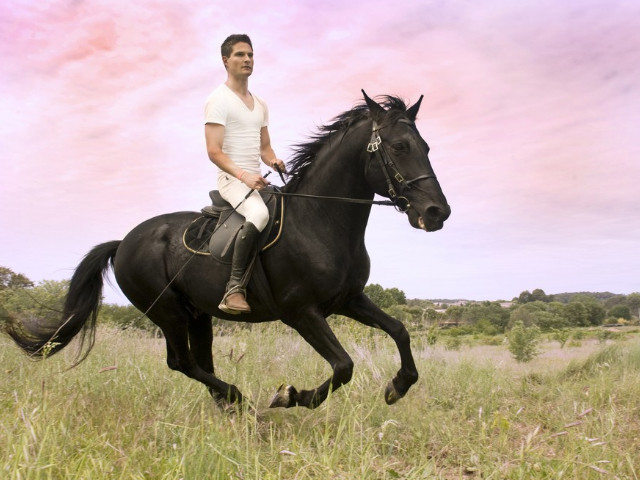 Конский возбудитель: что это такое, какие вещества в нем содержатся и как он действует на женщин